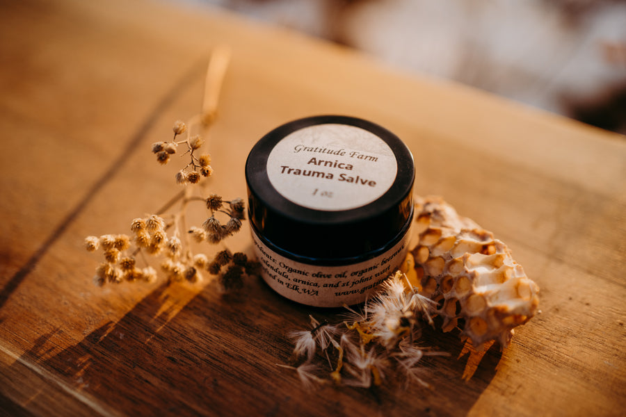 Trauma Salve with Arnica