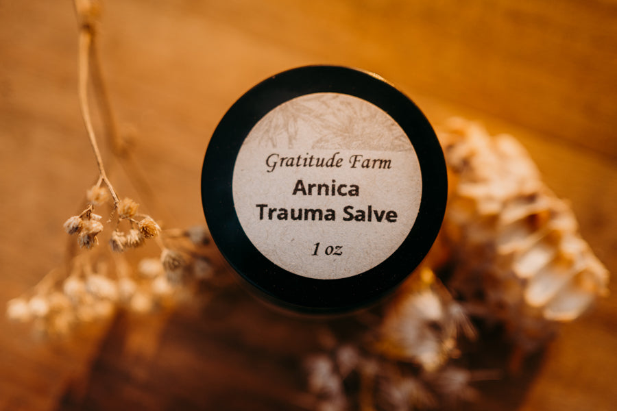Trauma Salve with Arnica
