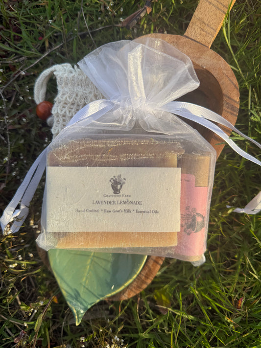 🍋 Spring Citrus Duo