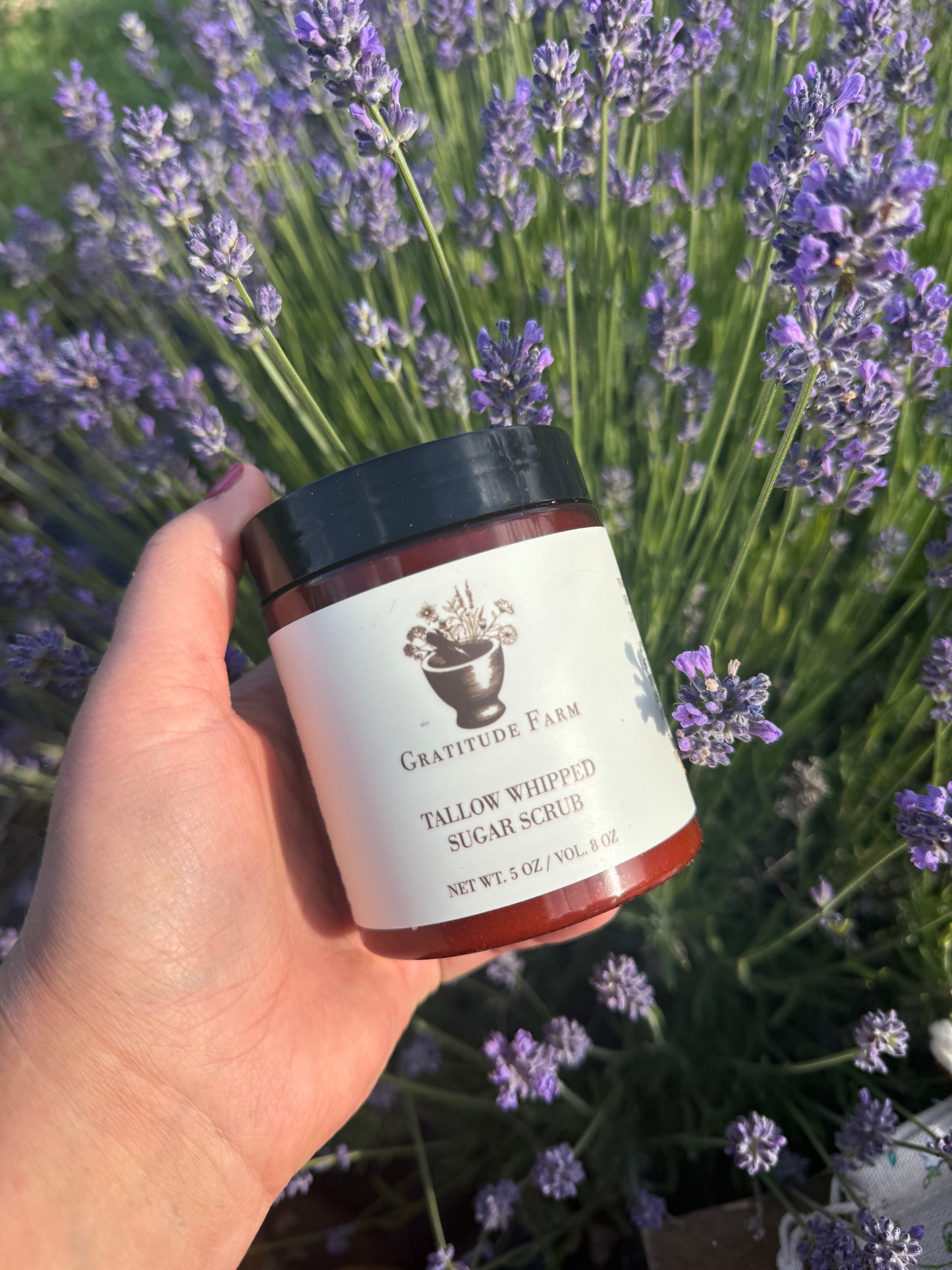 Herbal Sugar Scrub